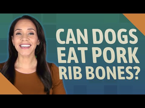 ¿Puede el perro comer costillas?