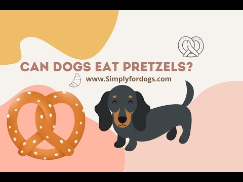 ¿Pueden los perros comer pretzels?  - Cómo discutir